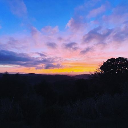 Agriturismo Anna-Rosa Legoli Dış mekan fotoğraf