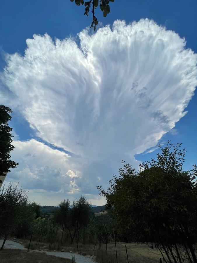 Agriturismo Anna-Rosa Legoli Dış mekan fotoğraf