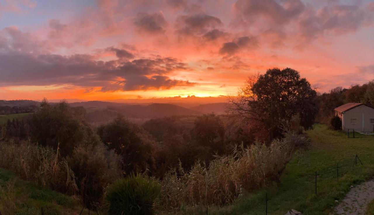 Agriturismo Anna-Rosa Legoli Dış mekan fotoğraf