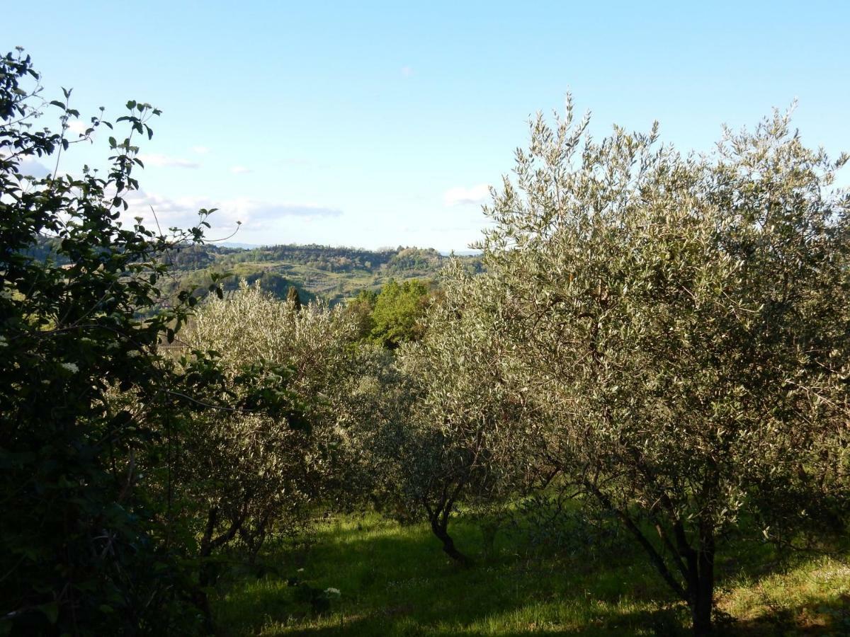 Agriturismo Anna-Rosa Legoli Dış mekan fotoğraf