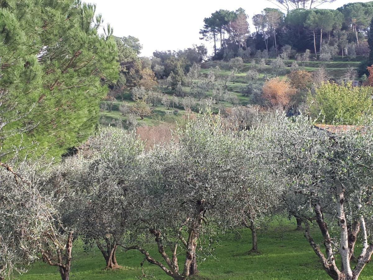 Agriturismo Anna-Rosa Legoli Dış mekan fotoğraf